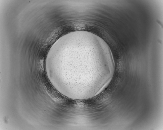 X0000103910598200810031214