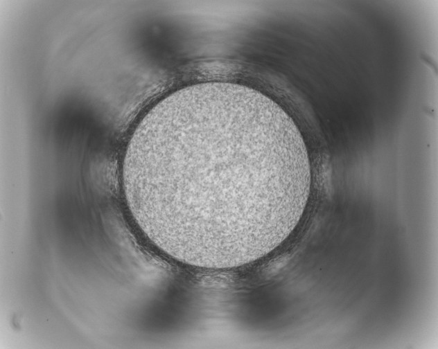 X0000103910599200810031214