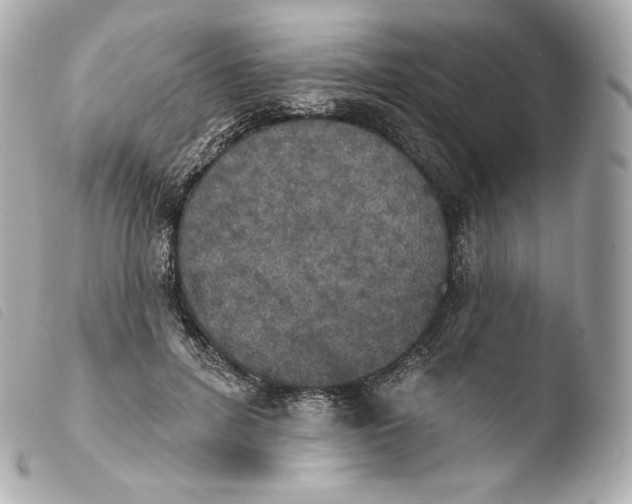 X0000103910600200810031214