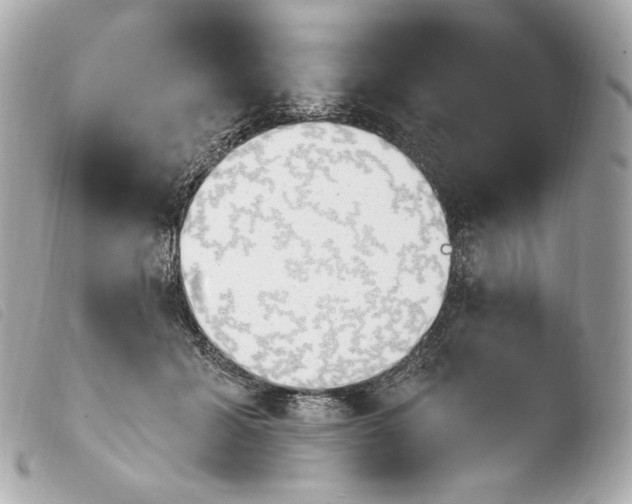 X0000103910605200810031214