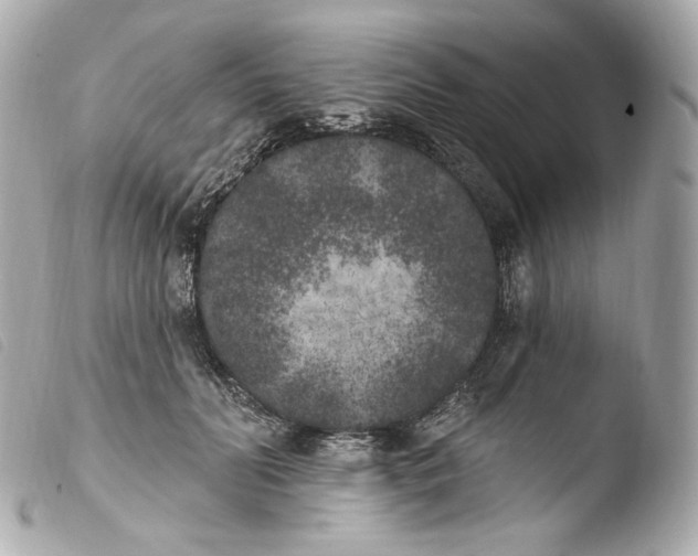 X0000103910606200810031214