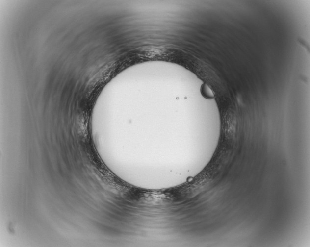 X0000103910607200810031214