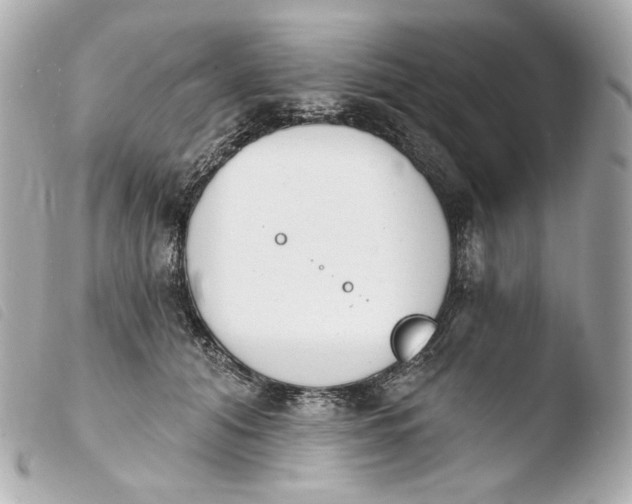 X0000103910608200810031214