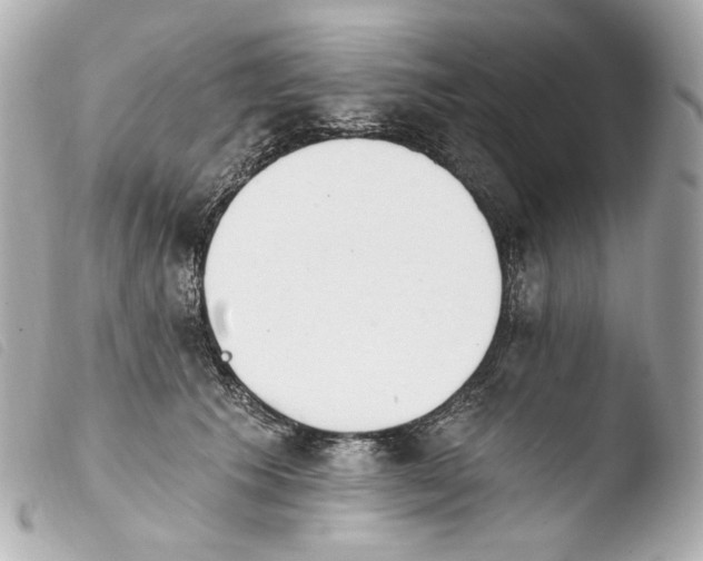 X0000103910609200810031214