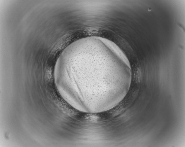 X0000103910610200810031214