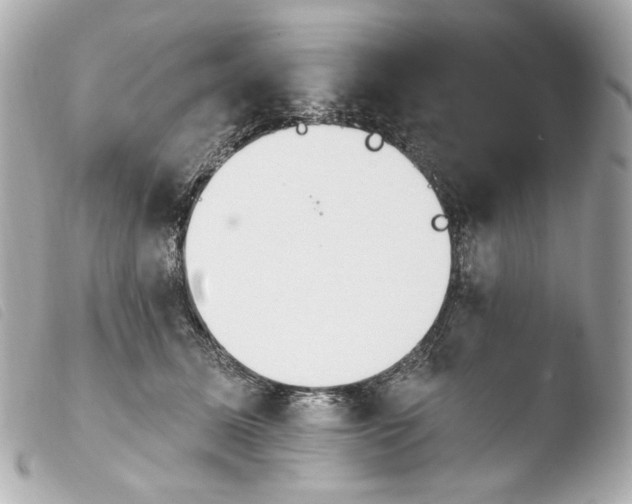 X0000103910611200810031214