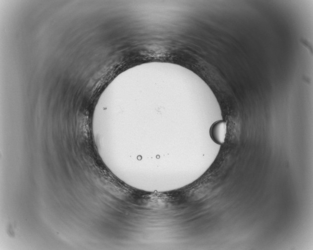 X0000103910612200810031214