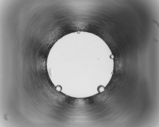 X0000103910613200810031214