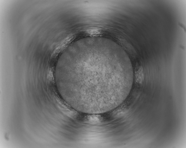 X0000103910618200810031214