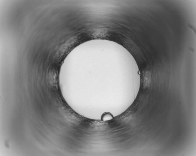 X0000103910619200810031214