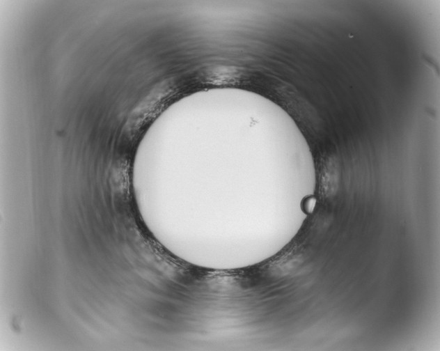 X0000103910620200810031214
