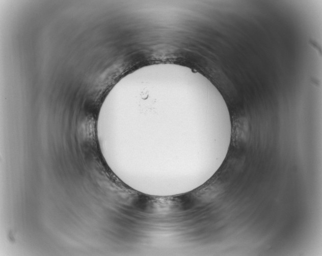 X0000103910623200810031214