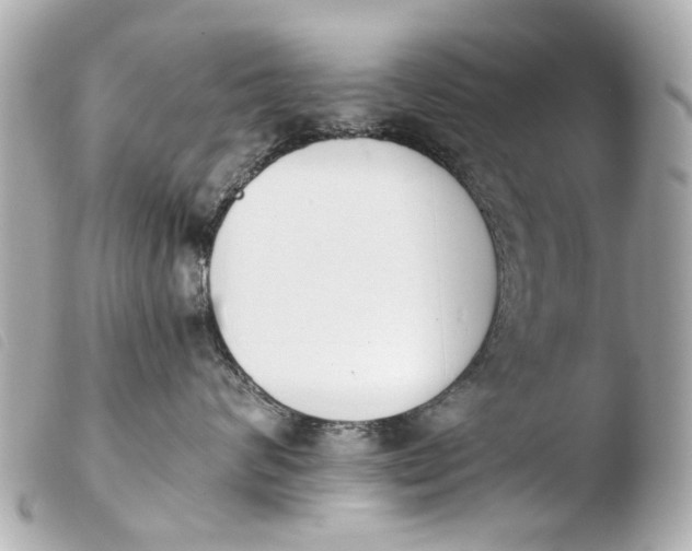 X0000103910624200810031214