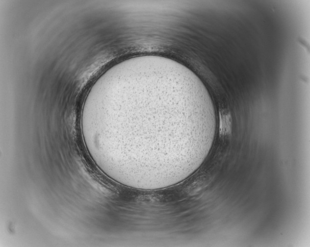 X0000103910627200810031213
