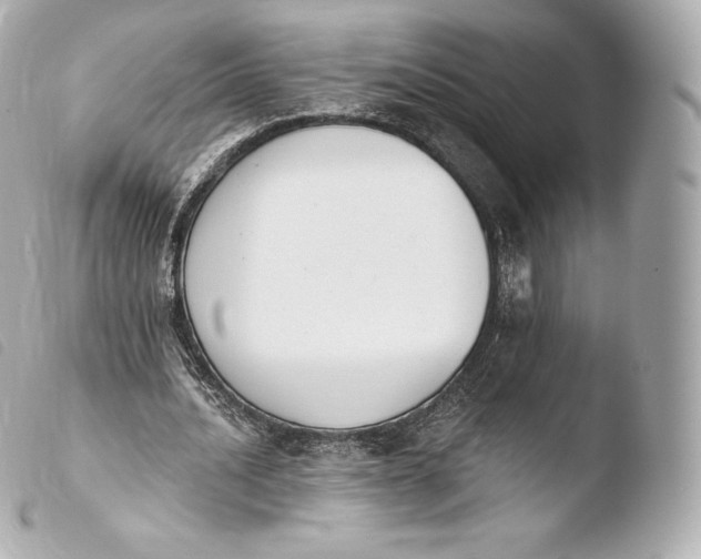 X0000103910628200810031213