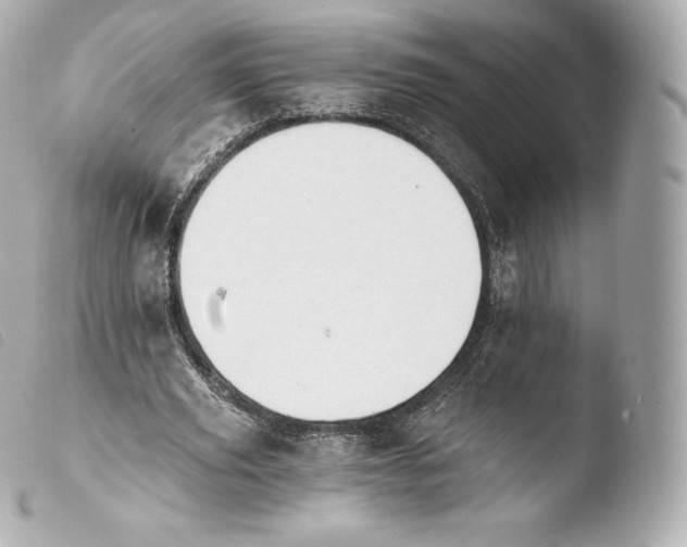 X0000103910629200810031213