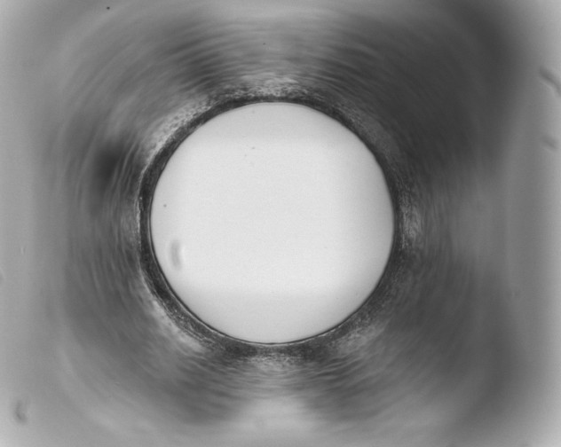 X0000103910630200810031213