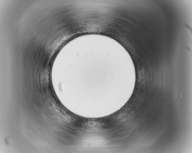 X0000103910632200810031213