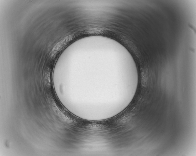 X0000103910633200810031213