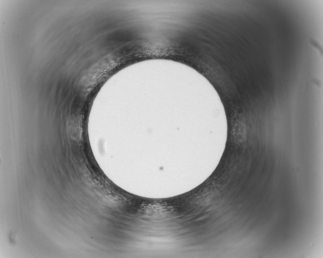 X0000103910635200810031213