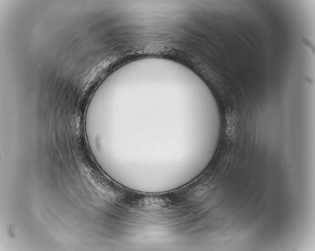 X0000103910636200810031213
