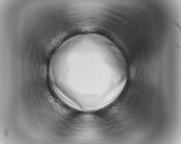 X0000103910637200810031213