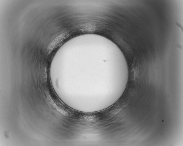 X0000103910638200810031213