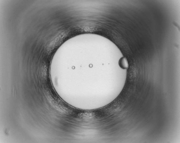 X0000103910639200810031213