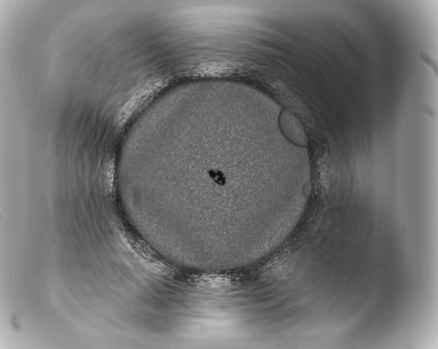X0000103910640200810031213