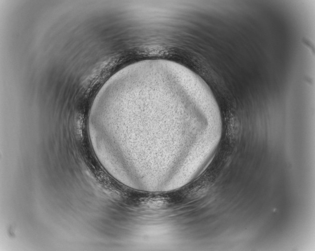 X0000103910643200810031213