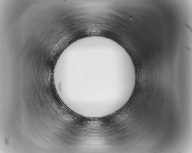 X0000103910645200810031213
