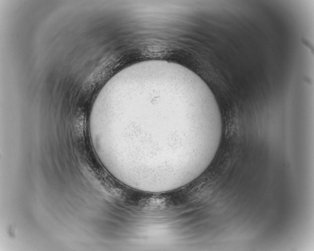 X0000103910647200810031213