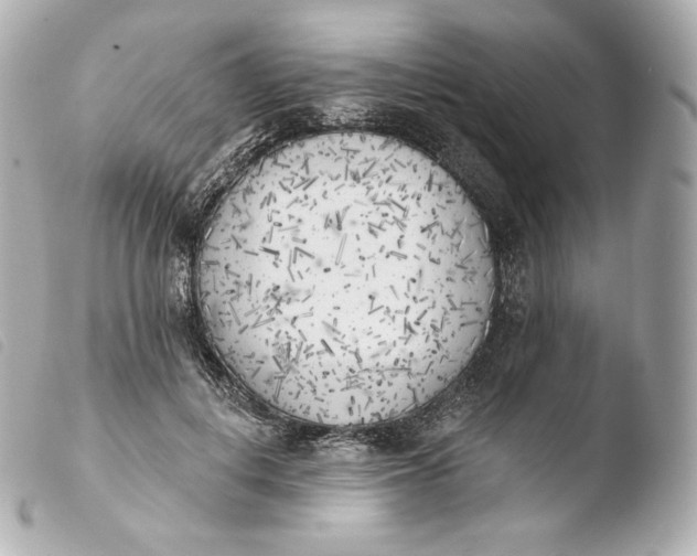 X0000103910648200810031213