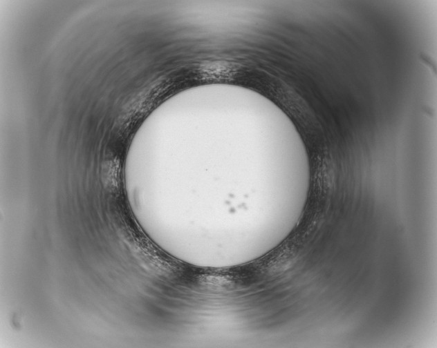 X0000103910649200810031213