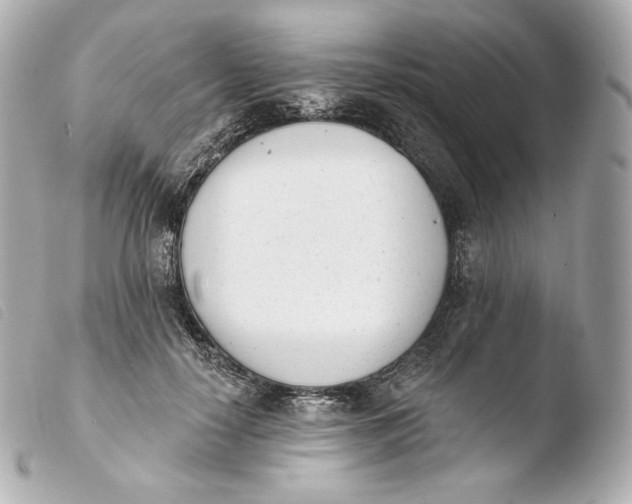 X0000103910650200810031214