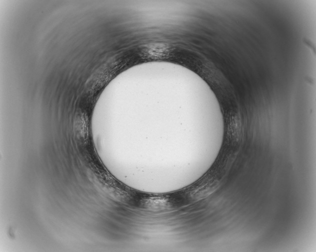 X0000103910651200810031214