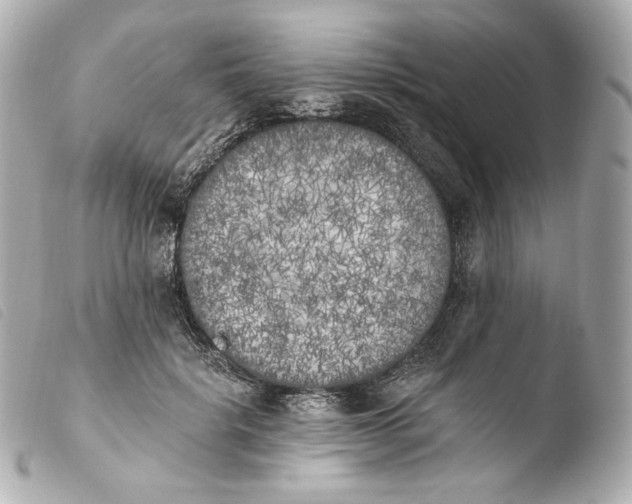 X0000103910652200810031214