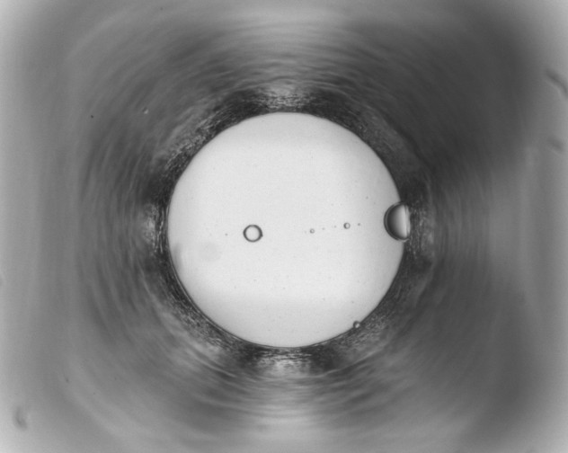 X0000103910655200810031214