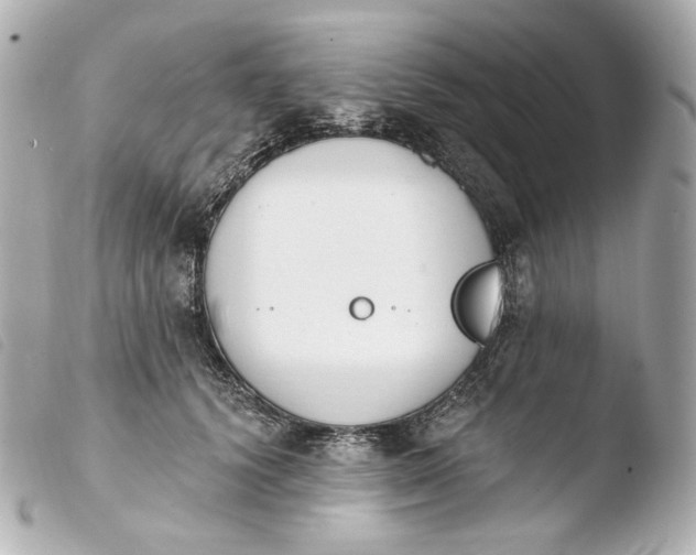 X0000103910656200810031214