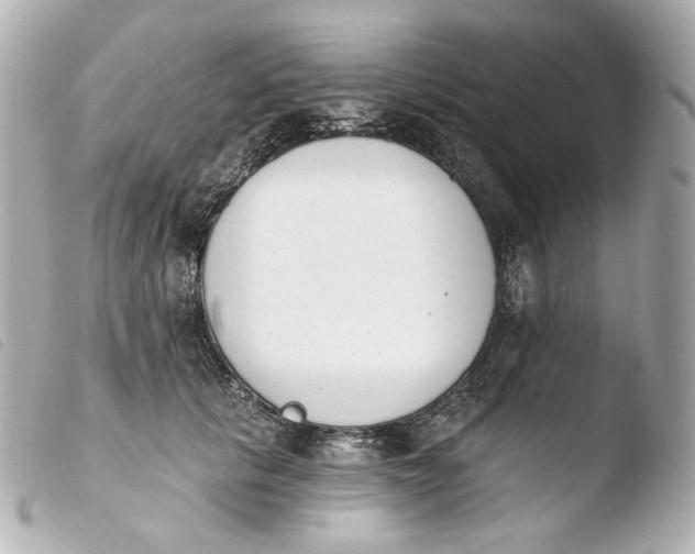 X0000103910657200810031214
