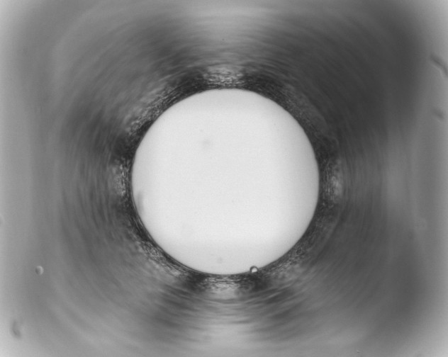 X0000103910658200810031214