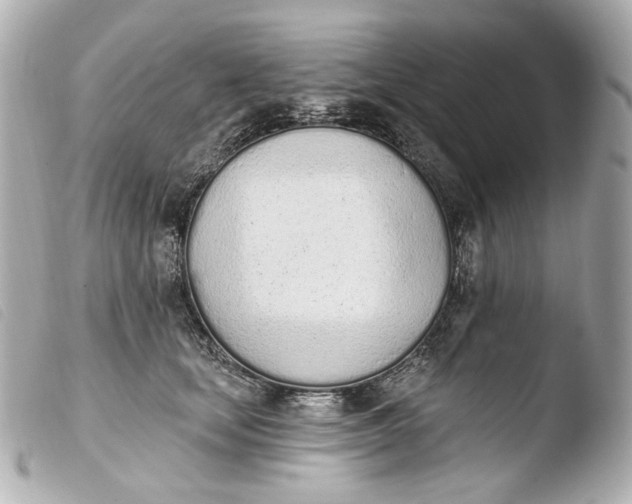 X0000103910659200810031214