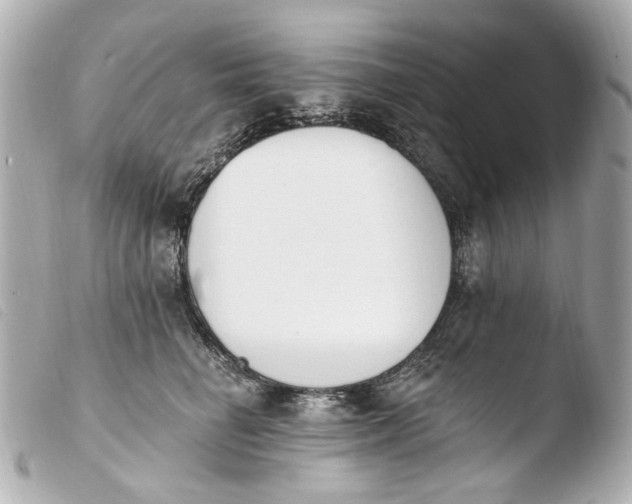 X0000103910662200810031214