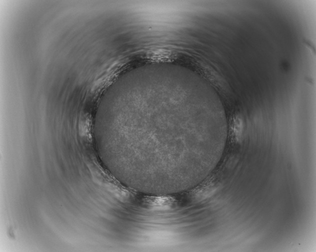 X0000103910663200810031214