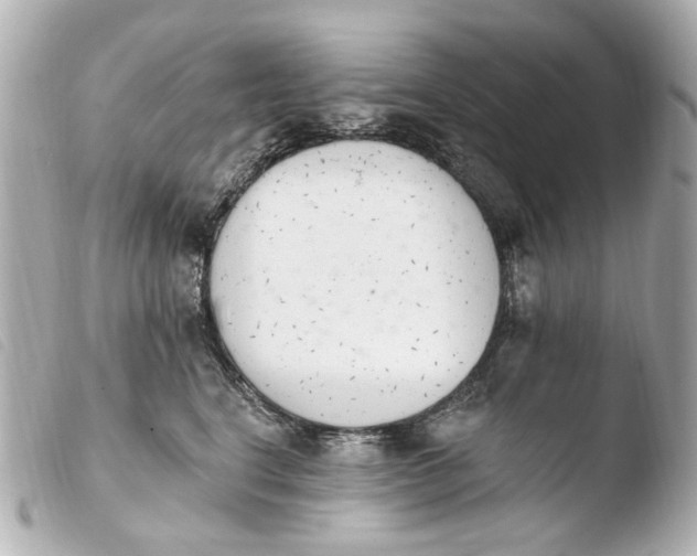 X0000103910664200810031214