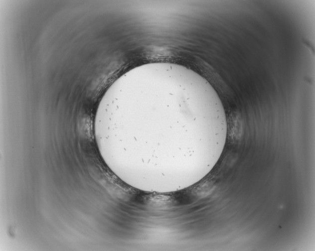 X0000103910669200810031214