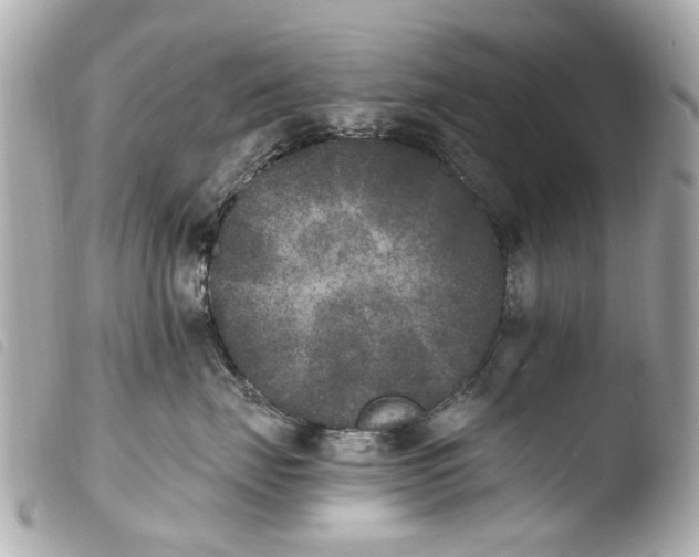 X0000103910671200810031214
