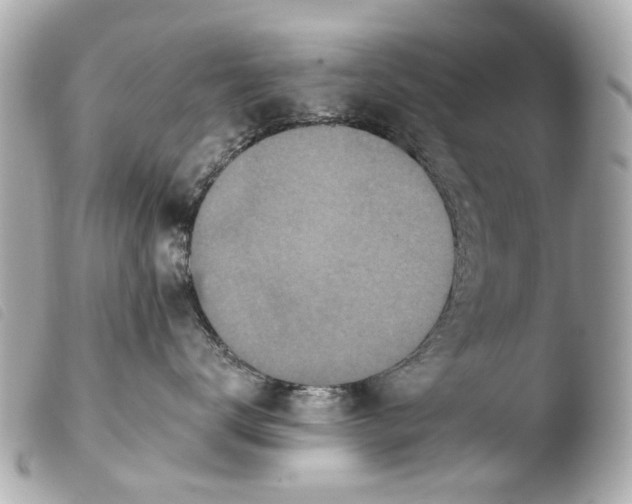 X0000103910672200810031214