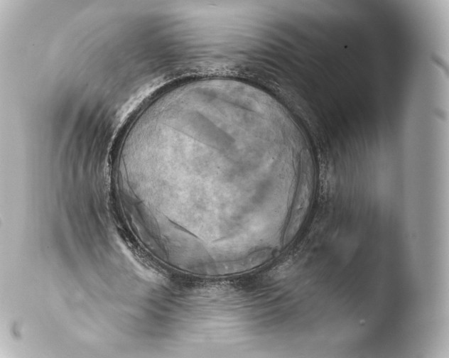 X0000103910674200810031213