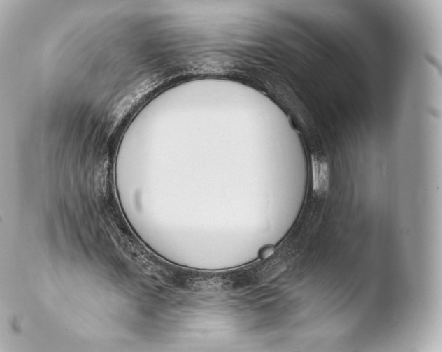 X0000103910675200810031213